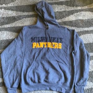 Champion panthers hoodie